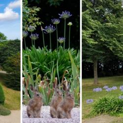 Jardins à la française