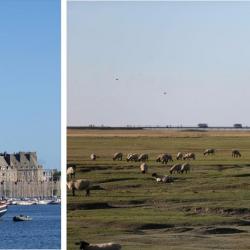 St Malo - Baie du Mont St Michel