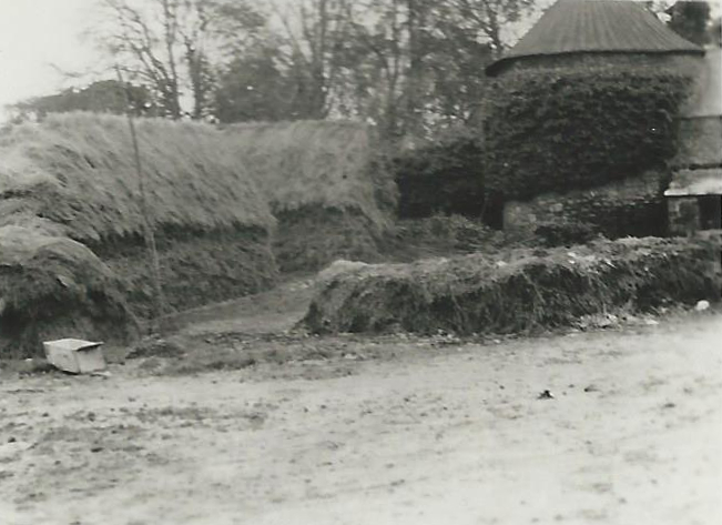 Ferme de la bardoulais en 1951 3