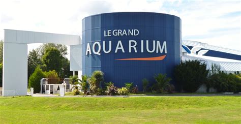 Grand aquarium de st malo